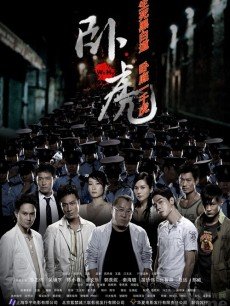 卧虎海报