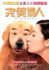 完美情人的海报