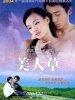 美人草的图片