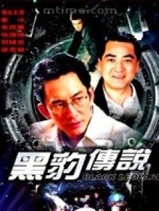黑豹传说海报
